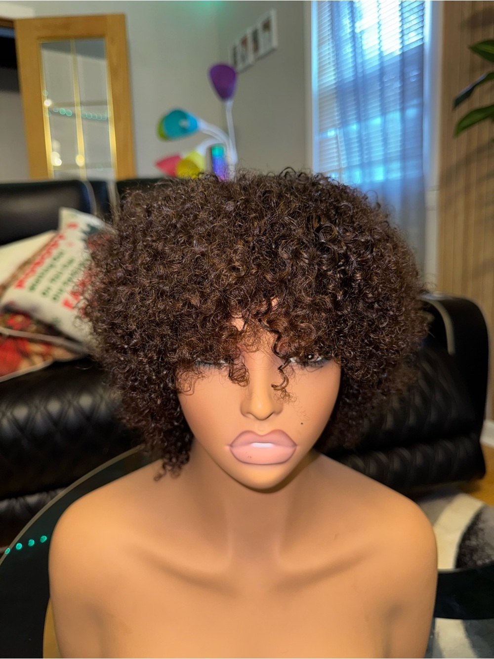 Short Curly Fringe Wig in Natural Dark Brown - Women Hair